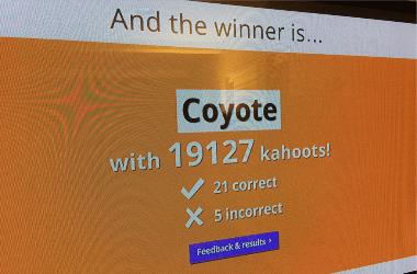 imatge 3
