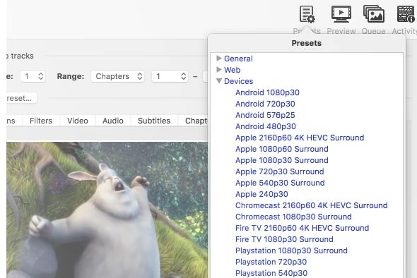 Imatge que mostra els formats predefinits dels vídeos