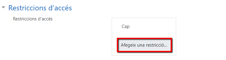 Imatge 12