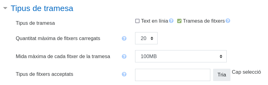 Imatge 5