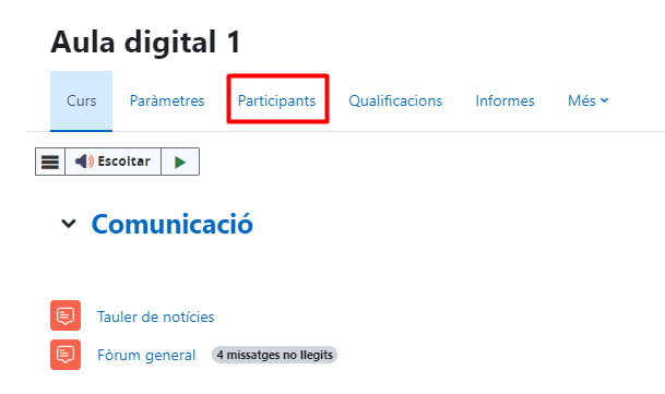 Imatge 1
