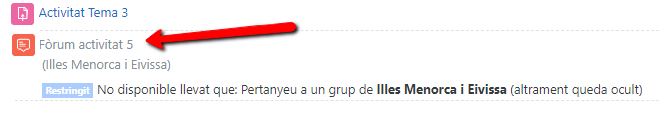 Imatge 19