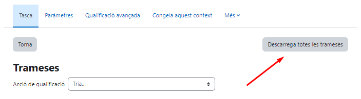 Imatge 1